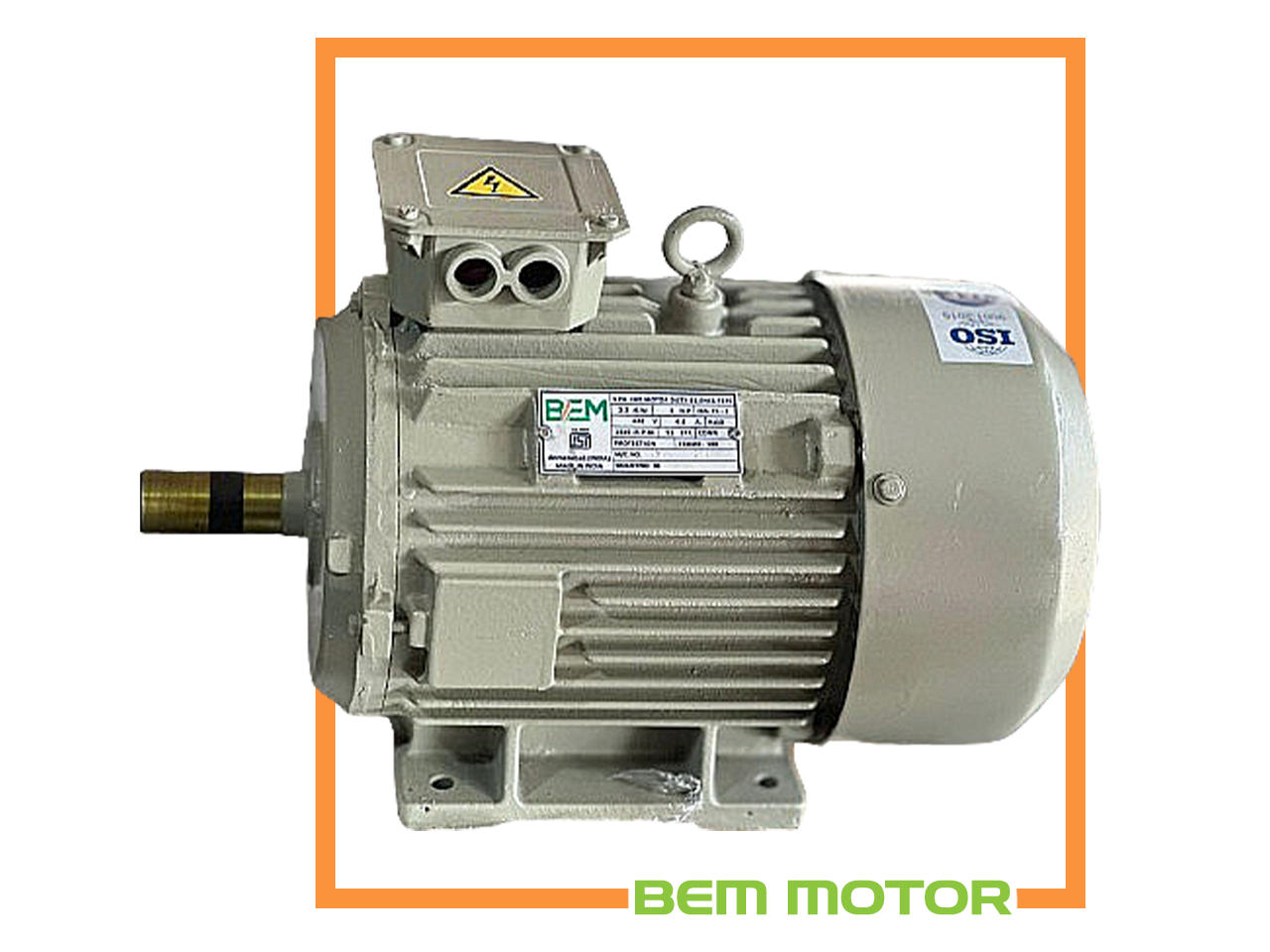 Bhavani Electric Motor