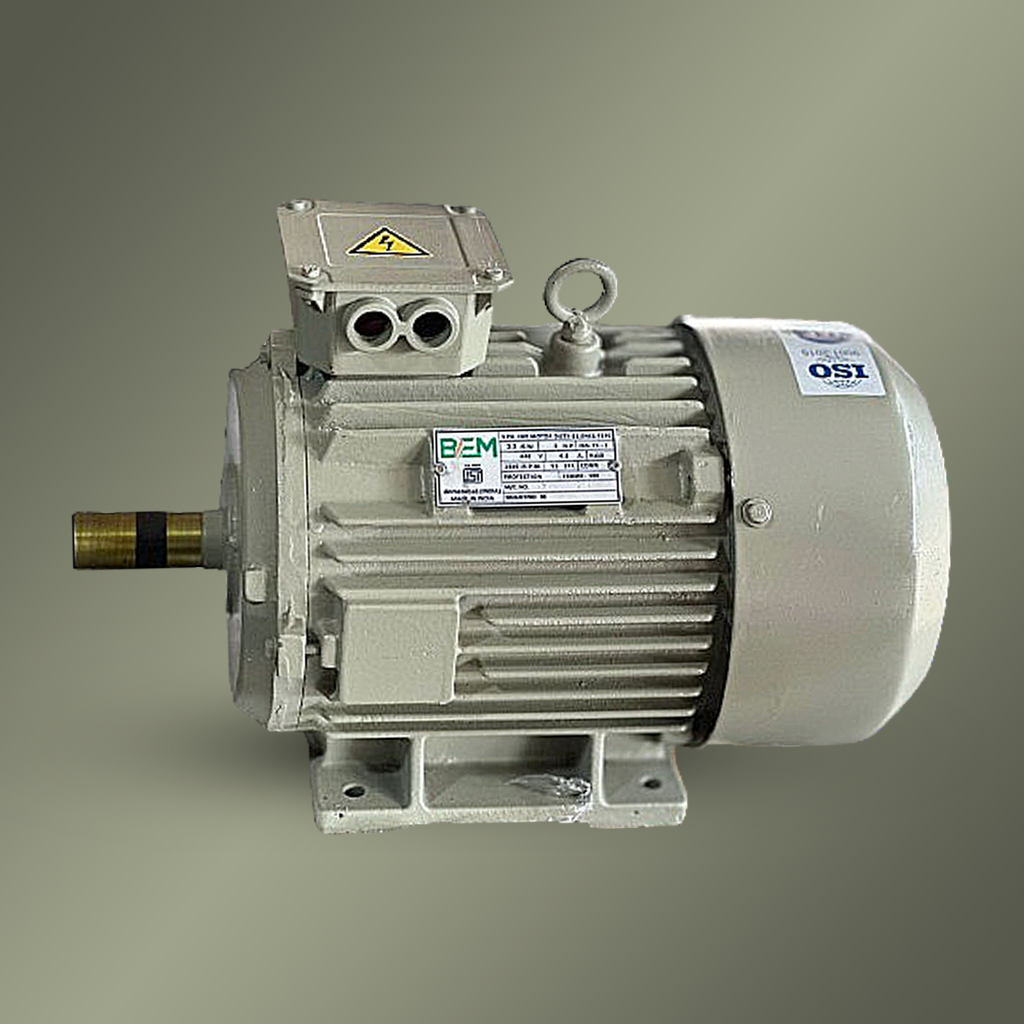 Electric Motor